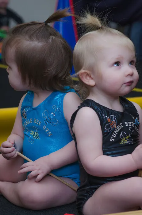 Tumble Bee Gym Picture 2