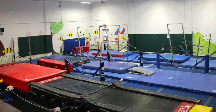 Tumble Bee Gym Picture 1