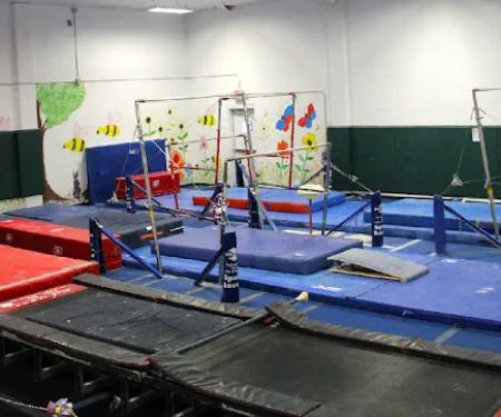 Tumble Bee Gym