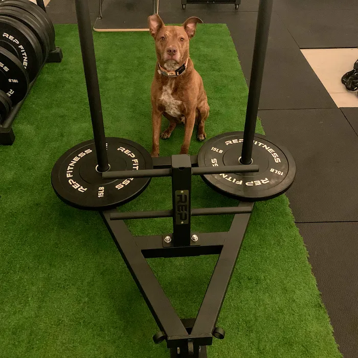 The Wellness Barn and Fitness Picture 10