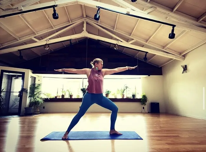 Village Yoga and Wellness Picture 8