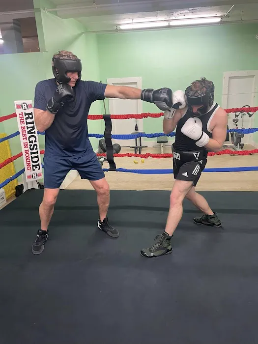 Real Steel Boxing Picture 1