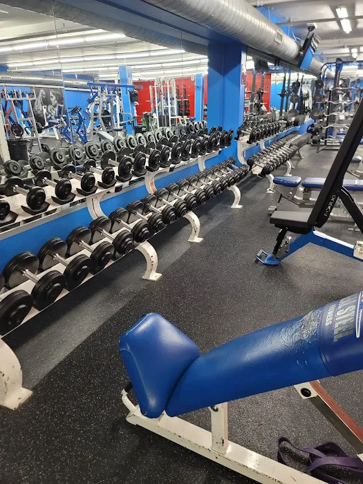 Real Steel Fitness Picture 5