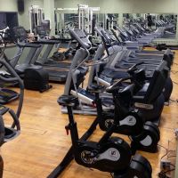 The Gymnasium Fitness & Nutrition ico