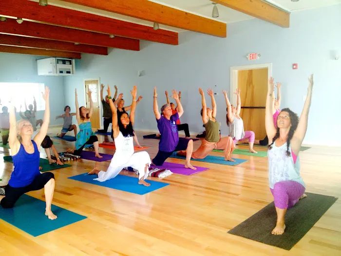 Sadhana Yoga - Teacher Training Course Picture 1
