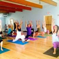 Sadhana Yoga - Teacher Training Course ico