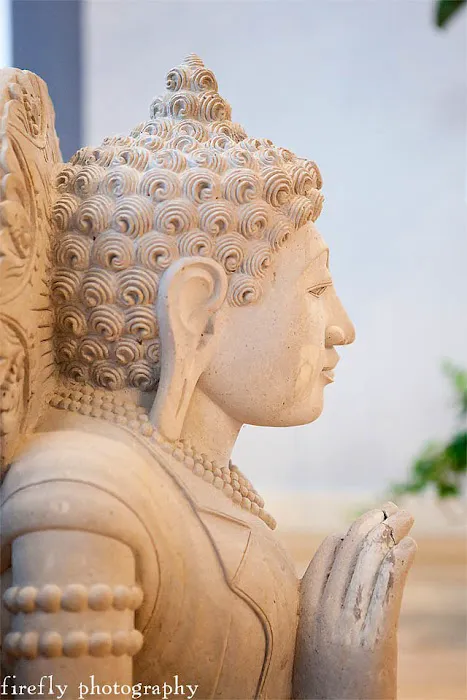 Sadhana Yoga - Teacher Training Course Picture 6