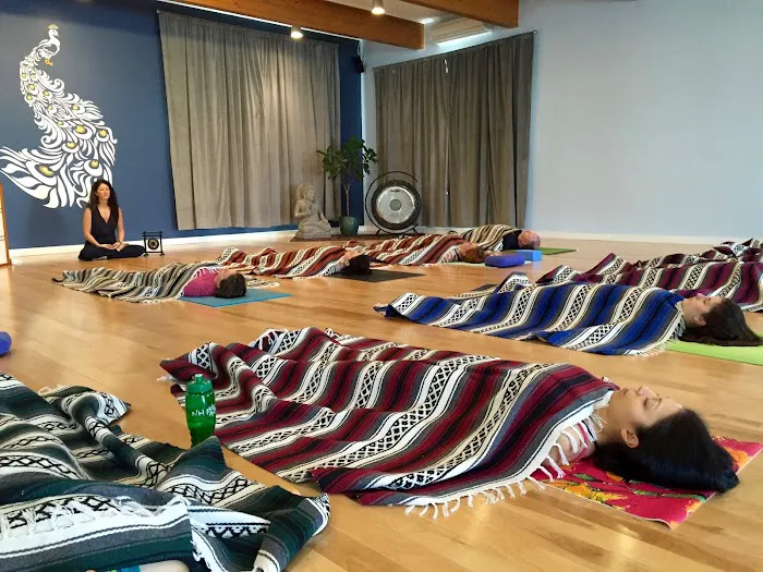 Sadhana Yoga - Teacher Training Course Picture 5