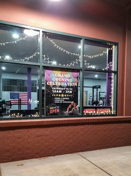 Rhino Strong Gym Picture 4