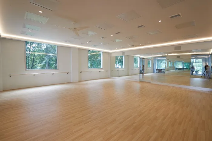 The Studio Greenwich - Yoga Picture 6