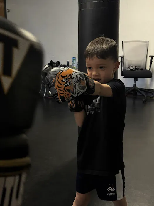 Greenwich Boxing Picture 1