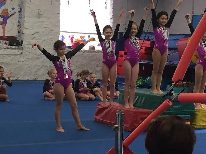 ISG Gymnastics Picture 4