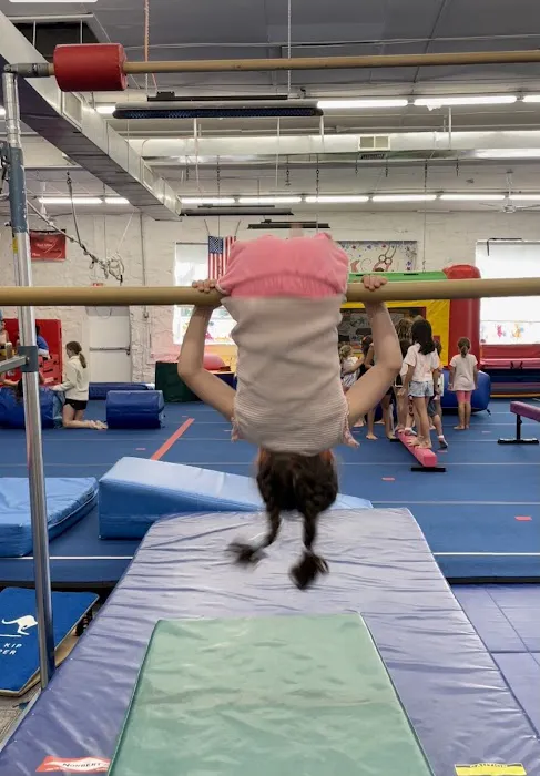 ISG Gymnastics Picture 3