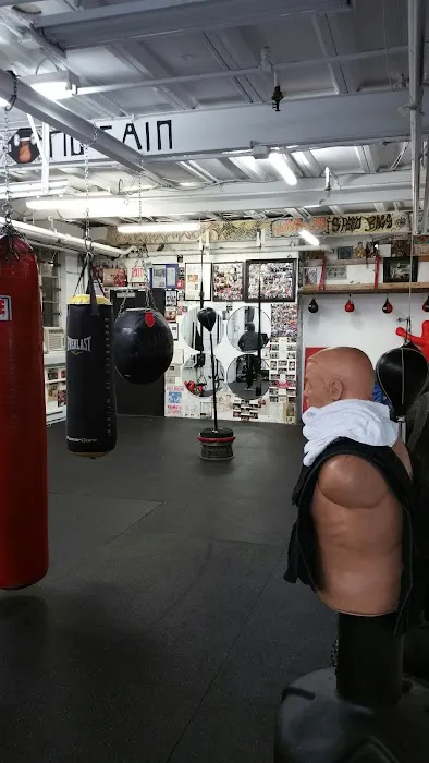Heavy Hitting Boxing & Fitness Picture 2