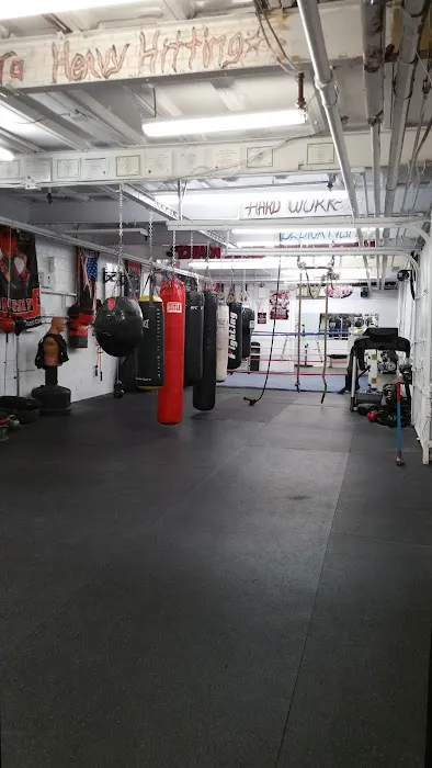 Heavy Hitting Boxing & Fitness Picture 3