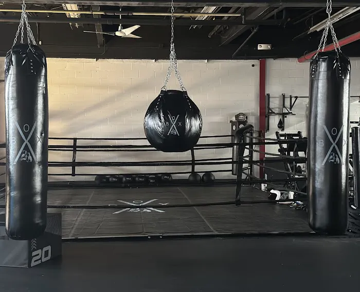 BOX-X Boxing and Fitness Picture 7
