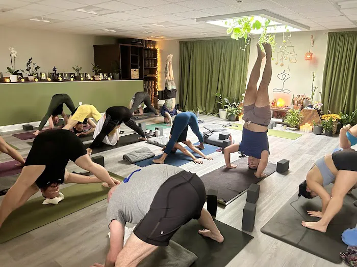 BK Yoga Picture 9