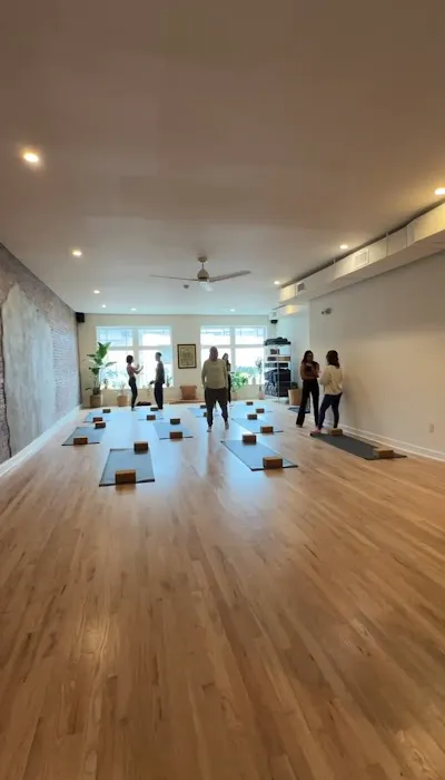Sala Tree Yoga House Picture 3