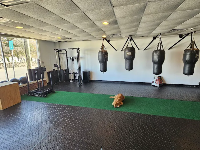 Rise Up Fitness Picture 6