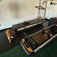 Rise Up Fitness ico