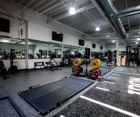 IRON VAULT