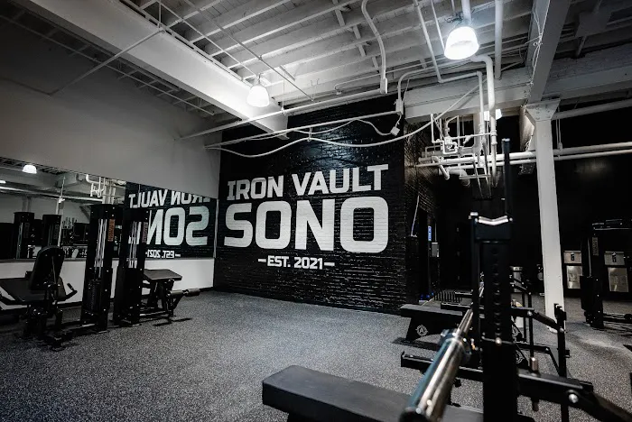 IRON VAULT Picture 5