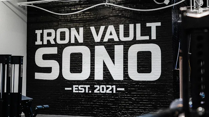 IRON VAULT Picture 3