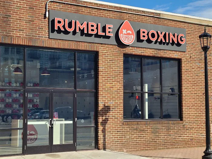Rumble Boxing Picture 3