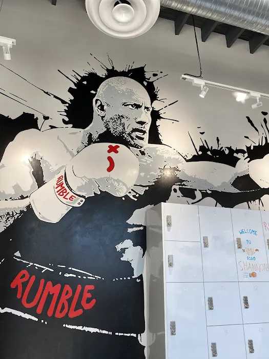 Rumble Boxing Picture 6