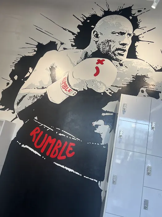 Rumble Boxing Picture 2