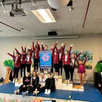 Revel Gymnastics CT ico