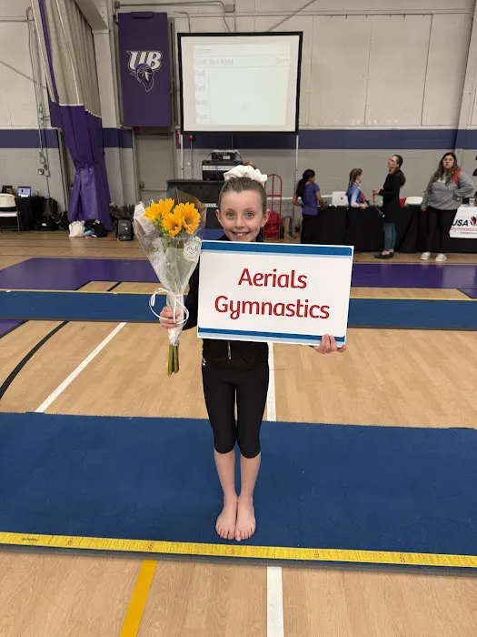 Aerials Gymnastics Newington Picture 7