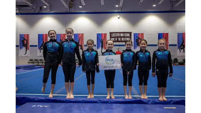 Aerials Gymnastics Newington Picture 8