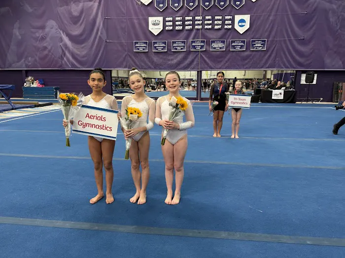 Aerials Gymnastics Newington Picture 6