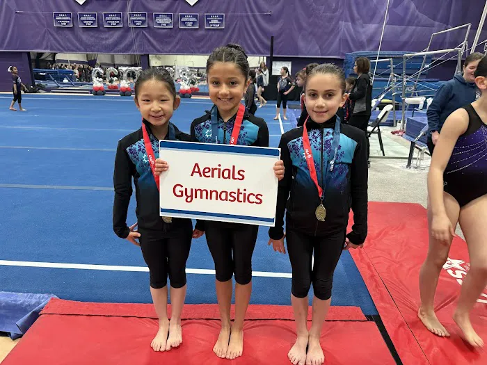 Aerials Gymnastics Newington Picture 9