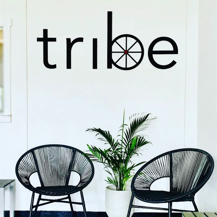 Tribe Picture 8