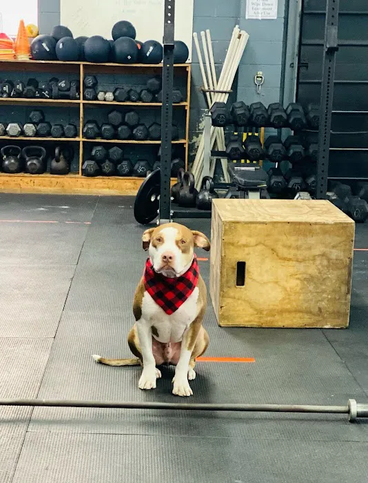 BIONIC CrossFit Picture 1