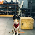 BIONIC CrossFit