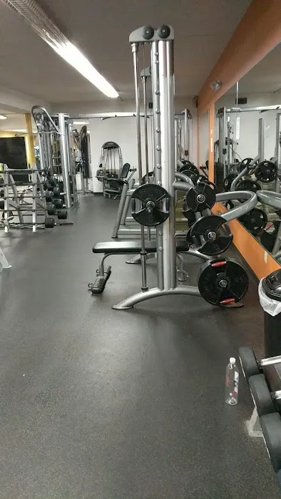 Anytime Fitness Picture 4