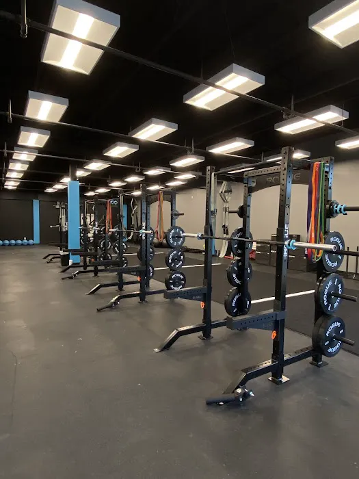 Paragon Strength & Performance Picture 2
