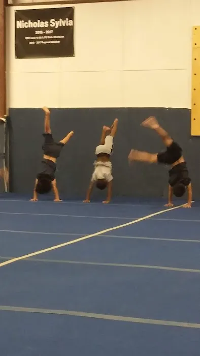 New Era Gymnastics Picture 1