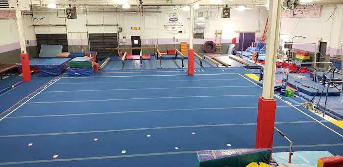 New Era Gymnastics Picture 10