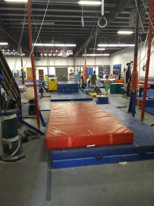New Era Gymnastics Picture 9