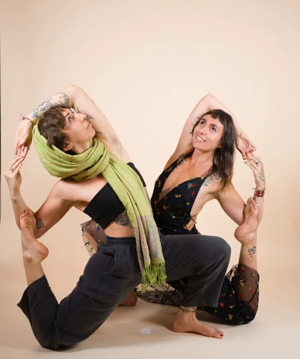 Daya Yoga Shelton Picture 8