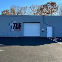 The One Training ico