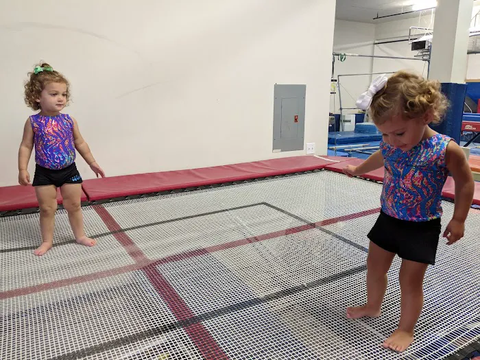 CATS Gymnastics Picture 5