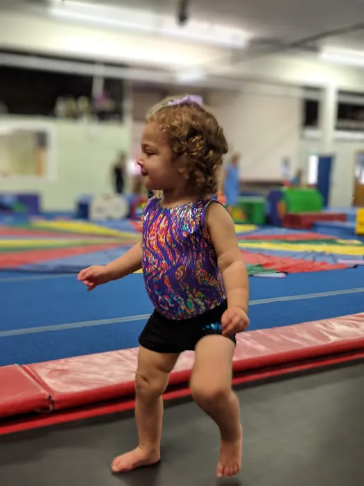 CATS Gymnastics Picture 1