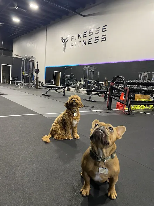 Finesse Fitness Training & Nutrition Picture 3