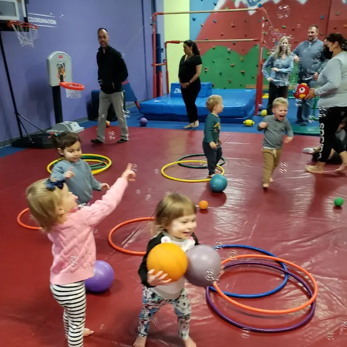 The Little Gym of Scarsdale Picture 3