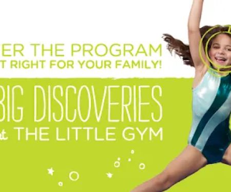 The Little Gym of Scarsdale